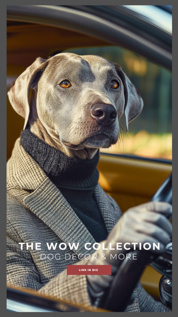 A handsome well-dressed dog in turtleneck and sportcoat at the wheel of his luxury car. Digital art home decor by thewowcollection at fineartamerica.com